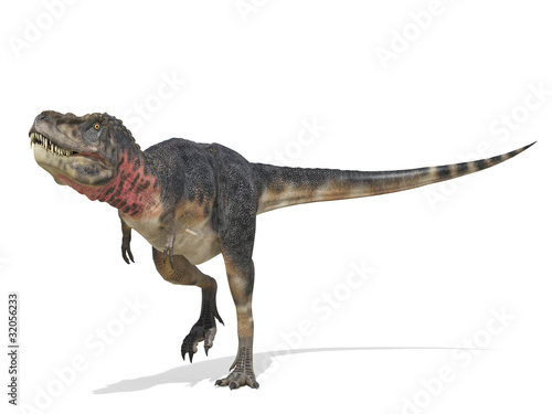 Illustration: tarbosaurus looking for food tarbosaurus looking for food