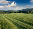 green meadows and forested hills