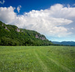 Mountain covered by forest