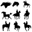 set of equestrian clip-art