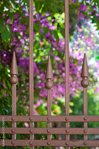 Photo: wrought-iron fence close-up with blooming flowers wrought-iron fence close-up with blooming flowers