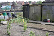 an allotment