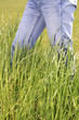 Jeans Walker