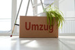 Umzugskarton