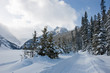 Winter Wonderland in Alberta, Canada