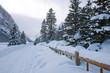 Winter Wonderland in Alberta, Canada