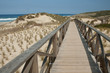Foto: Wooden trail through dunes Wooden trail through dunes
