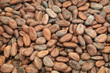 Fèves de cacao