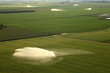irrigations irrigations