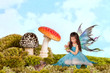 Fairy with frog prince