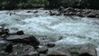 alpine stream between stones (with sound) alpine stream between stones (with sound)