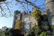 Malahide Castle through branches