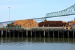 Pile of logs on decks & the Astoria bridge, OR.