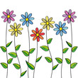 flower11