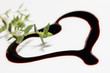 Balsamicoherz