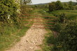 Rural lane in England
