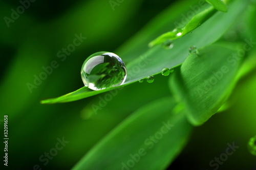 Foto: Perle Perle