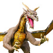 dragon near attack