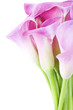 Callas
