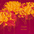 Photo en ligne au meilleur prix Romantic vector background with chrysanthemum
