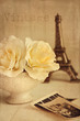 Antique roses with old photos