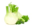 Fenchel, Kräuter