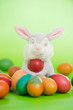 Photo: easter eggs easter eggs