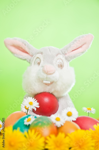 Photo: easter eggs easter eggs
