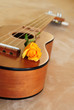 Ukulele Guitar