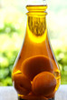 apricot brandy - liquore all'albicocca
