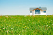House and Meadow House and Meadow