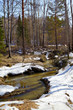 River in the forest