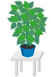 Vector house plant in dark blue pots on gray table Vector house plant in dark blue pots on gray table