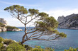 calanque de Morgiou 3