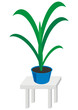 Vector house plants in dark blue pots on gray table Vector house plants in dark blue pots on gray table