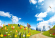Ecological City Ecological City