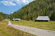 Polish Tatra mountains Koscieliska valley