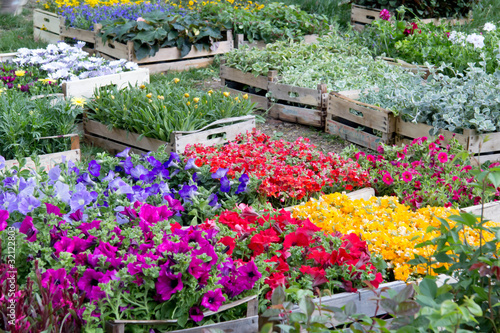 Foto: Blumenmarkt Blumenmarkt