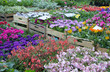 Blumenmarkt