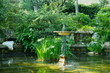 petite fontaine dans parc arboré