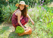 légumes du jardin