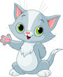 Kitten showing