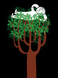 man resting in the branchs of a tree