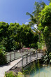 Pont sur le bassin, jardin botanique, Guadeloupe Pont sur le bassin, jardin botanique, Guadeloupe