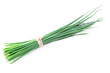 reen onion isolated on the white background