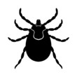 Kleszcz 01 - vector Kleszcz 01 - vector