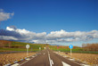 Road in the field