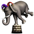 Circus Elephant