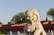 The Stone lion in front of tiananmen The Stone lion in front of tiananmen