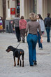 The woman walking with a dog The woman walking with a dog